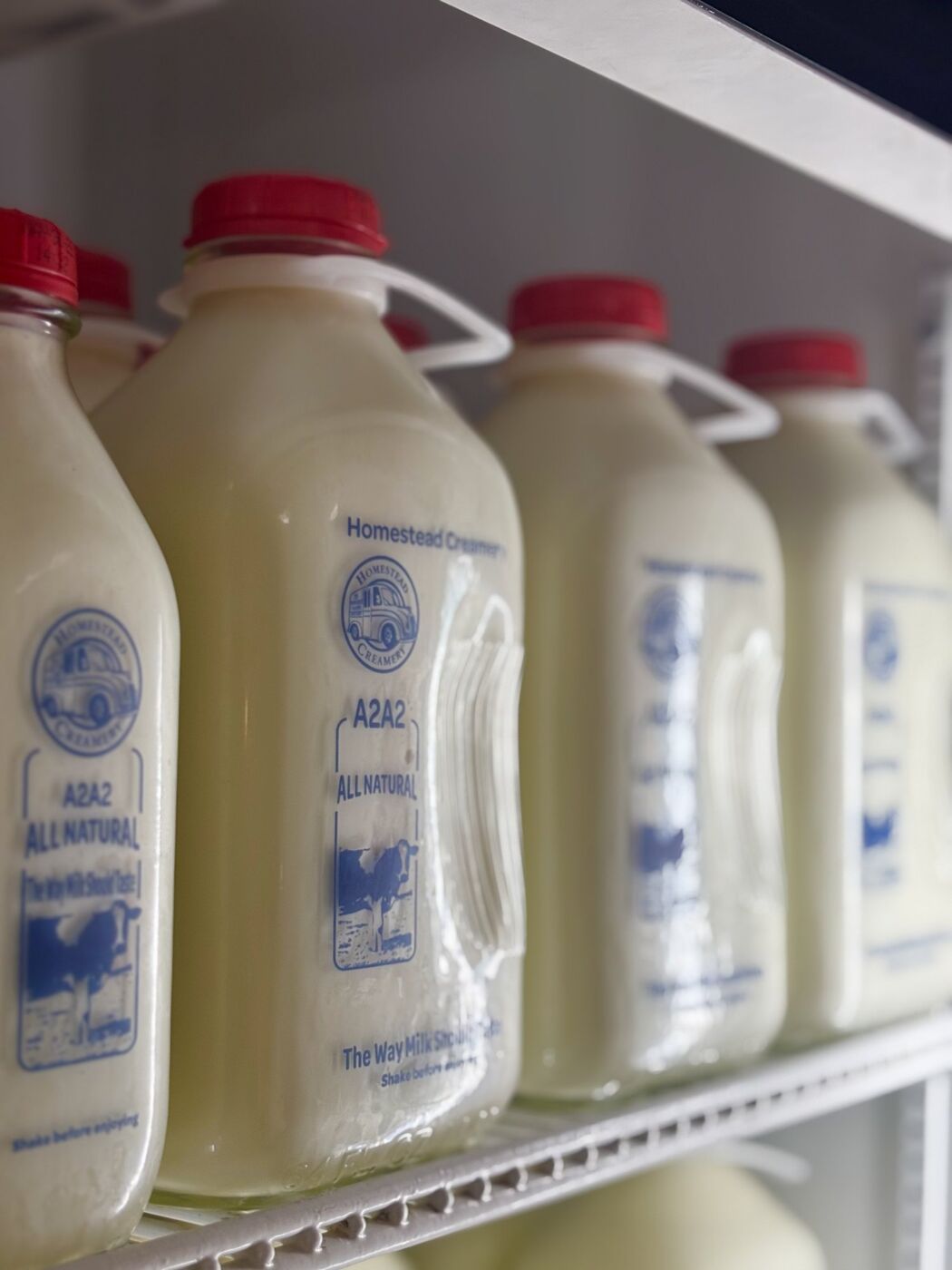 Glass bottles of Homestead Creamery milk with red caps in a cooler